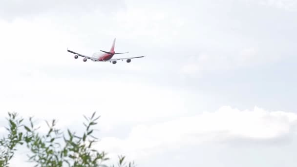 Avião voa em um céu — Vídeo de Stock