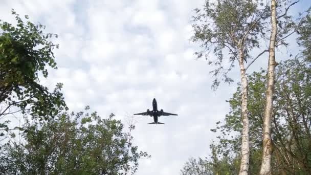 Flygplan flyger i en sky — Stockvideo