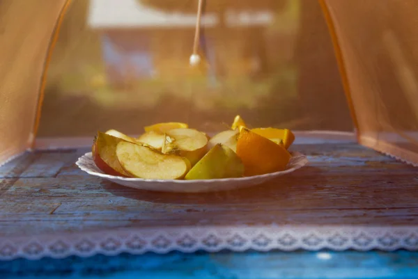 meyveler için sivrisinek perde