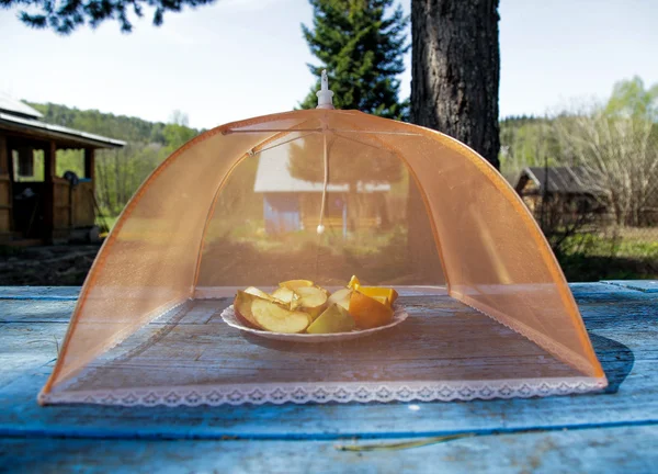 meyveler için sivrisinek perde