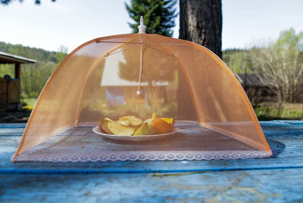 meyveler için sivrisinek perde