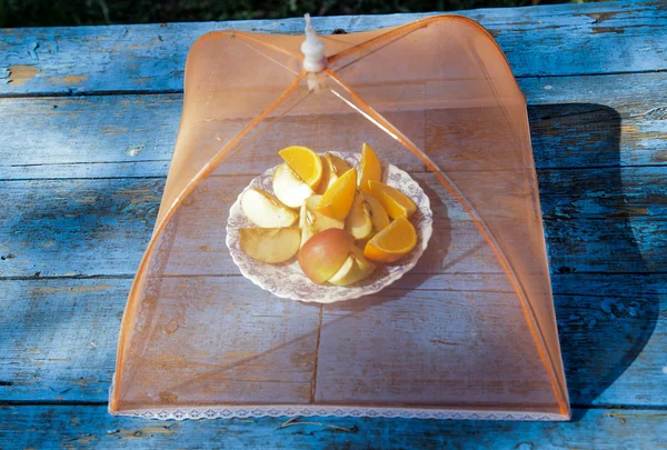 meyveler için sivrisinek perde