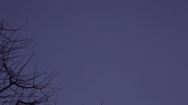 bir gökyüzünde uçan uçak