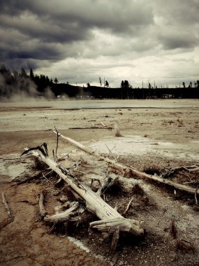 Yellowstone'da sülfürik düz