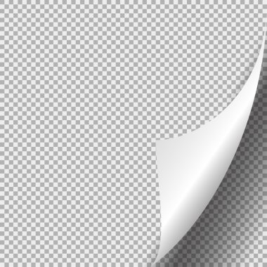 Sayfa curl boş beyaz kağıt üzerine gölge ile