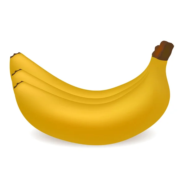 Ramo de bananas amarelo realista com sombra em uma ilustração vetorial de fundo branco — Vetor de Stock