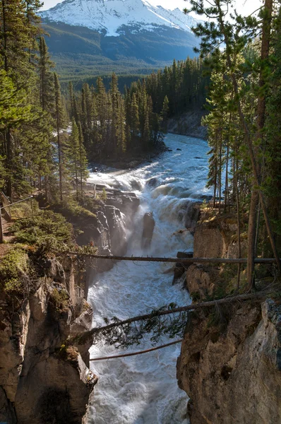 Sunwapta Falls in Jasper National Park — Stock Photo, Image