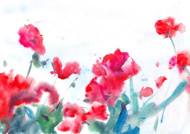 haşhaş kırmızı çiçekler