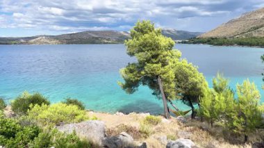 Gözlerden uzak bir körfezin göz kamaştırıcı manzarası canlı akarsu suları, kendine özgü kıyı bitki örtüsü ve zarif bir eğimli ağaç ile çerçevelenmiş, huzurlu, gizli bir hamak noktasını ima eden. 