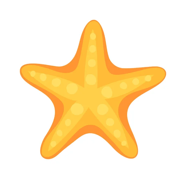 Sea star vector illustration. — Stock Vector