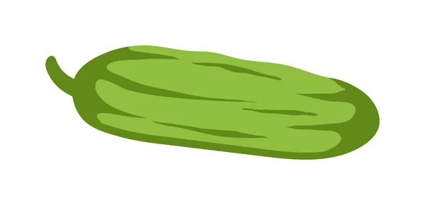 Vettore fresco cetriolo verde isolato — Vettoriale Stock
