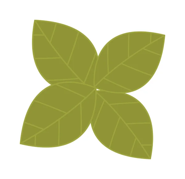 Ensalada de lechuga verde fresca con hojas aisladas sobre un blanco — Vector de stock