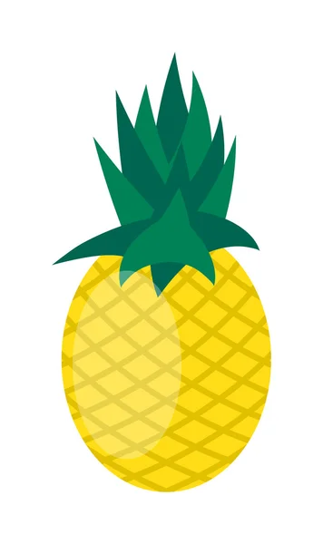 Ananas isoliert auf weißem Vektor. — Stockvektor