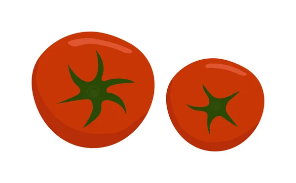 Tomato isolated vector illustration. — Stockvector