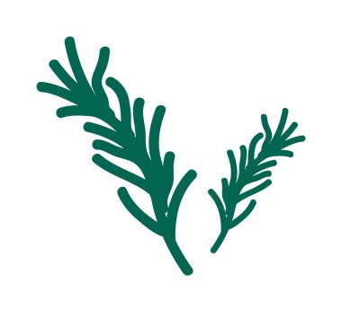 Maydanoz salatası vektör illüstrasyon.