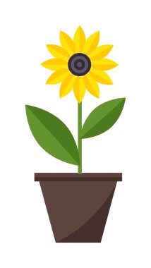 Pot vektörev çiçekleri.