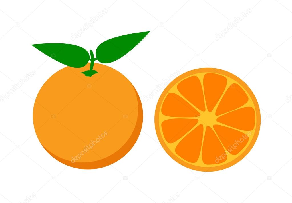 Orange Isolated Vector Illustration Vector Image By C Luplupme Gmail Com Vector Stock Orange Isolated Vector Illustration Vector Image By C Luplupme Gmail Com Vector Stock