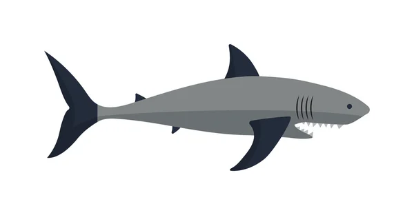 Illustration vectorielle de requin dessin animé . — Image vectorielle