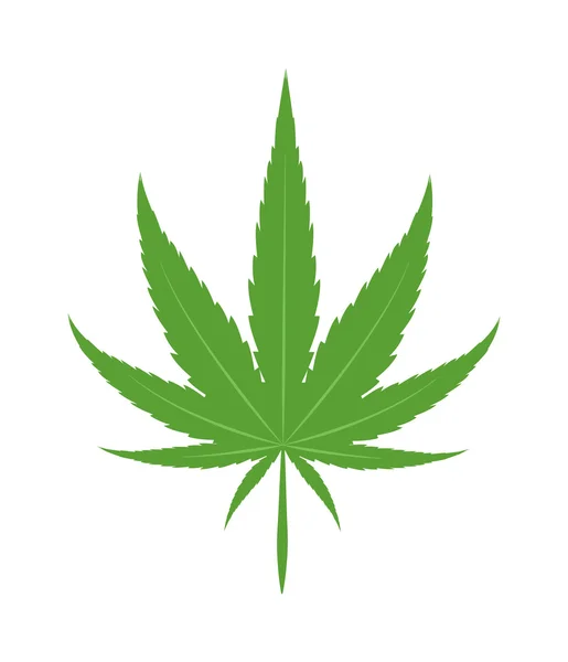 Cannabis marijuana leaf icon vector illustration. — Stock Vector