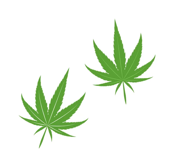Cannabis Marihuana Blatt Symbol Vektor Illustration. — Stockvektor