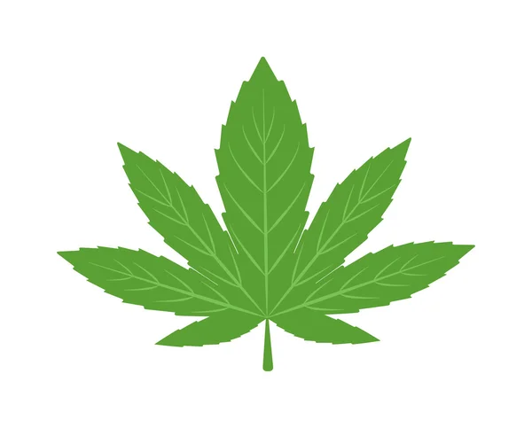 Векторная иллюстрация конопли с марихуаной . — стоковый вектор