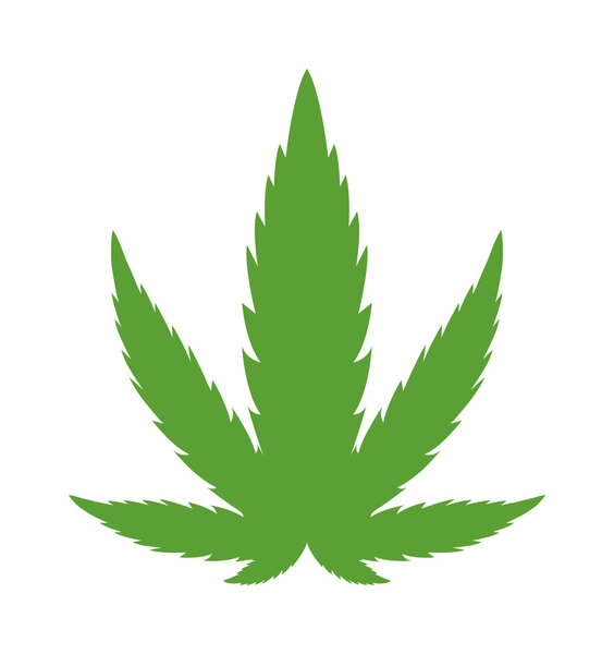 Cannabis marijuana leaf vector illustration.