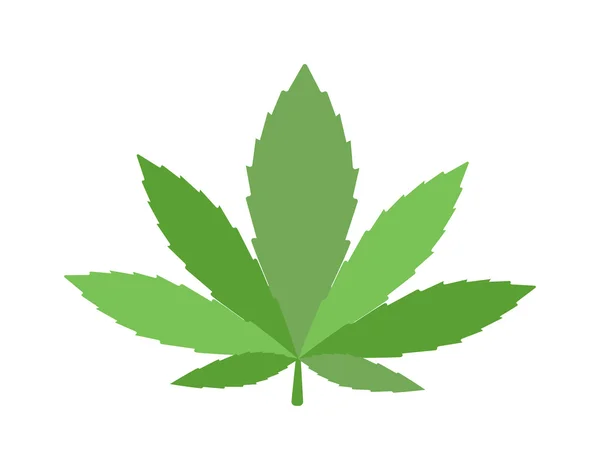 Векторная иллюстрация конопли с марихуаной . — стоковый вектор