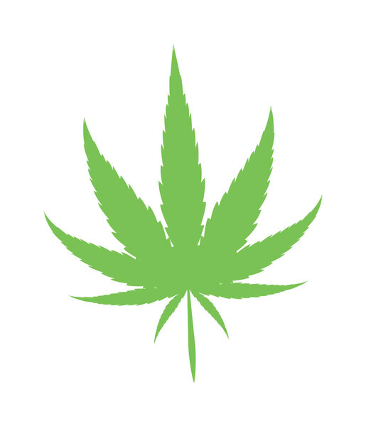 Cannabis marijuana leaf vector illustration.