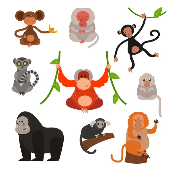 Monkey vektor illustration — Stock vektor