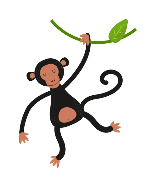 Monkey vector illustration — Stock Vector