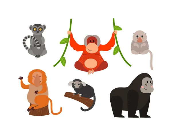 猴子矢量图 — 图库矢量图片