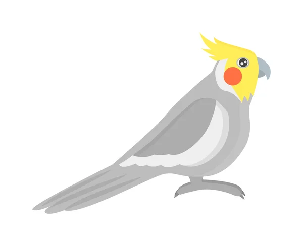 Cartoon papegaai vector geïsoleerde vogel — Stockvector