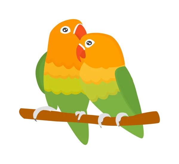 Tecknad papegojor vektor isolerade fåglar — Stock vektor