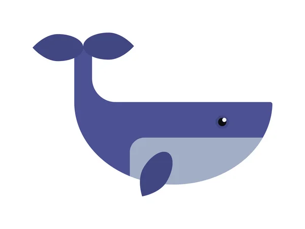 Ilustração do vetor baleia. — Vetor de Stock