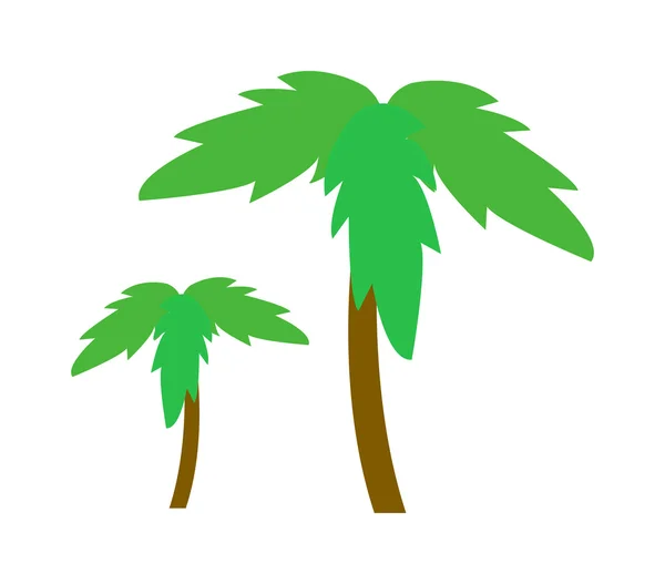 Palmera vector aislado . — Vector de stock