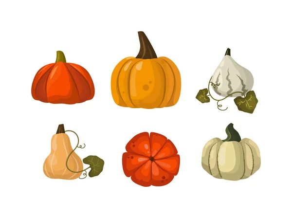 Calabaza conjunto vector. — Archivo Imágenes Vectoriales