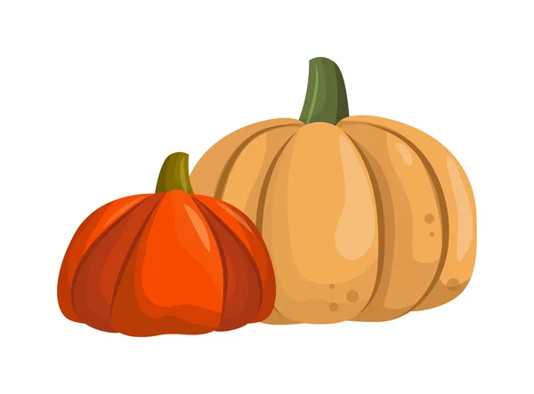 Calabaza aislado vector . — Archivo Imágenes Vectoriales