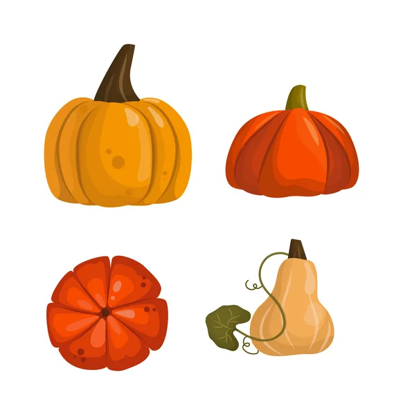 stock vector Pumpkin isolated vector.