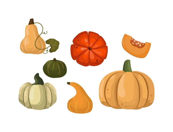 Pumpkin set vector. — Stock Vector