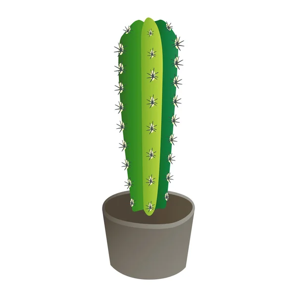 Cute cartoon cactus plant — Stock Vector