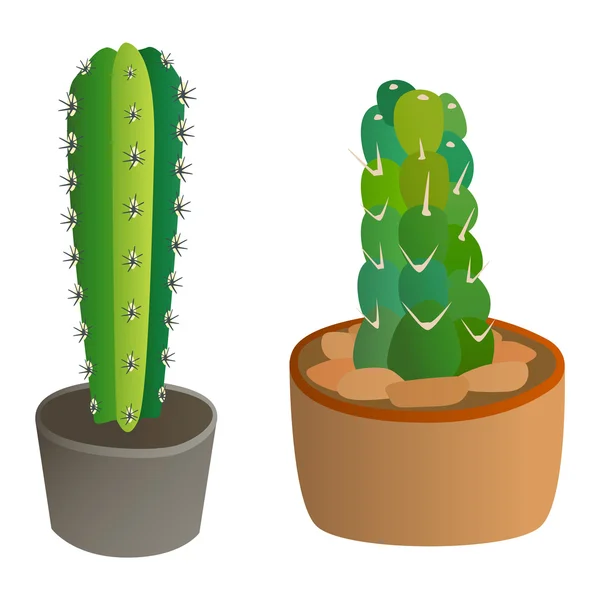 Linda planta de cactus de dibujos animados — Archivo Imágenes Vectoriales