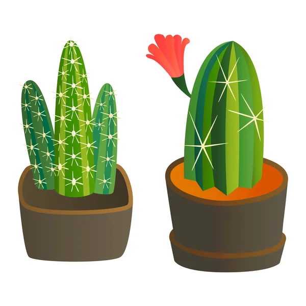 Bonito cartoon cacto planta — Vetor de Stock