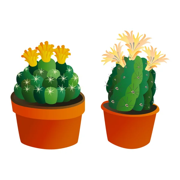 Linda planta de cactus de dibujos animados — Archivo Imágenes Vectoriales