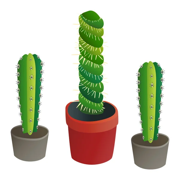 Bonito cartoon cacto planta — Vetor de Stock