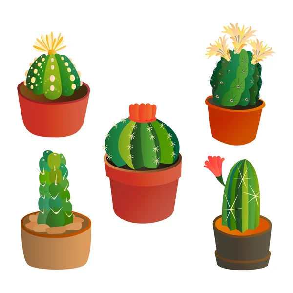 Linda planta de cactus de dibujos animados — Archivo Imágenes Vectoriales