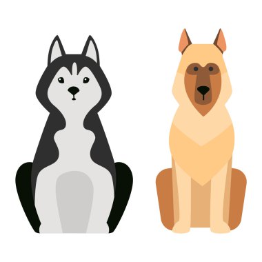 Çoban retriever köpek hayvan vektör