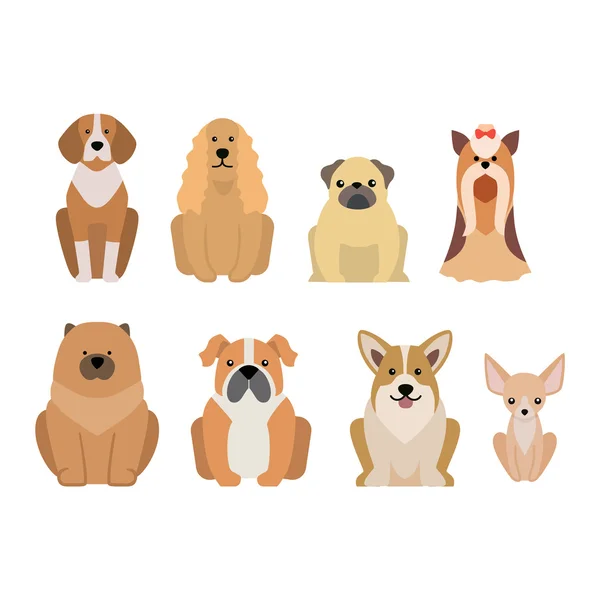 Différentes races de chiens isolés sur blanc — Image vectorielle
