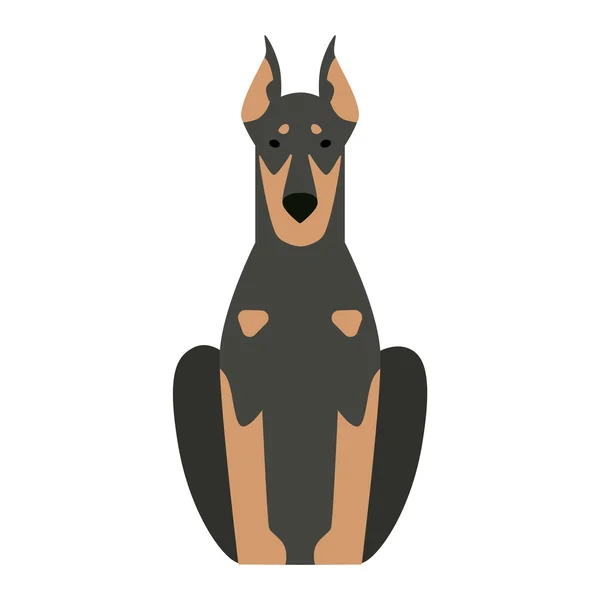 Pásztor Vizsla kutya állat vektor — Stock Vector