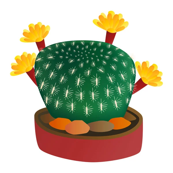 Plante de cactus dessin animé mignon — Image vectorielle