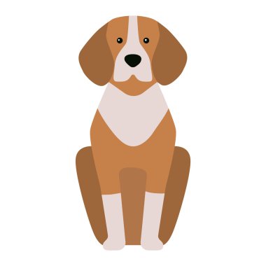 Çoban retriever köpek hayvan vektör